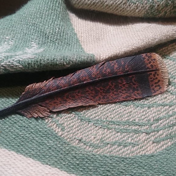 Indian feather pin - Picture 1 of 8